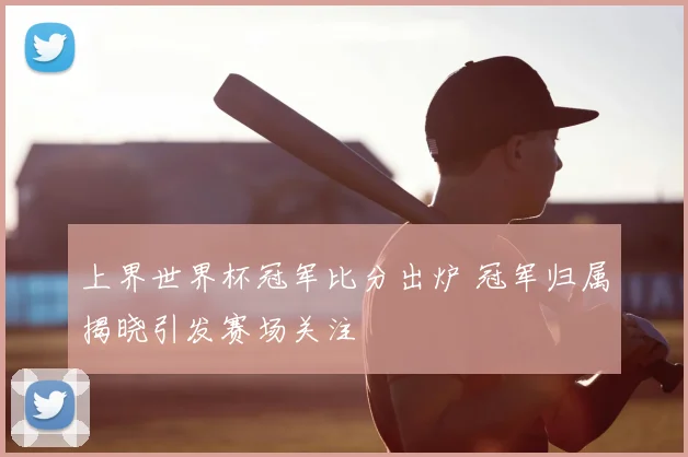 上界世界杯冠军比分出炉 冠军归属揭晓引发赛场关注